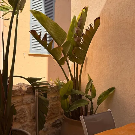 Cb Cannes- New York Apartamento Cannes